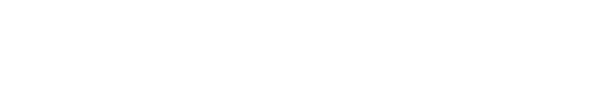 Логотип ВелоДело