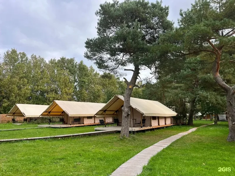 Фото Малина
