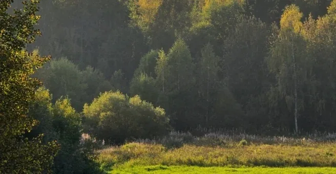 Фото Бумажник