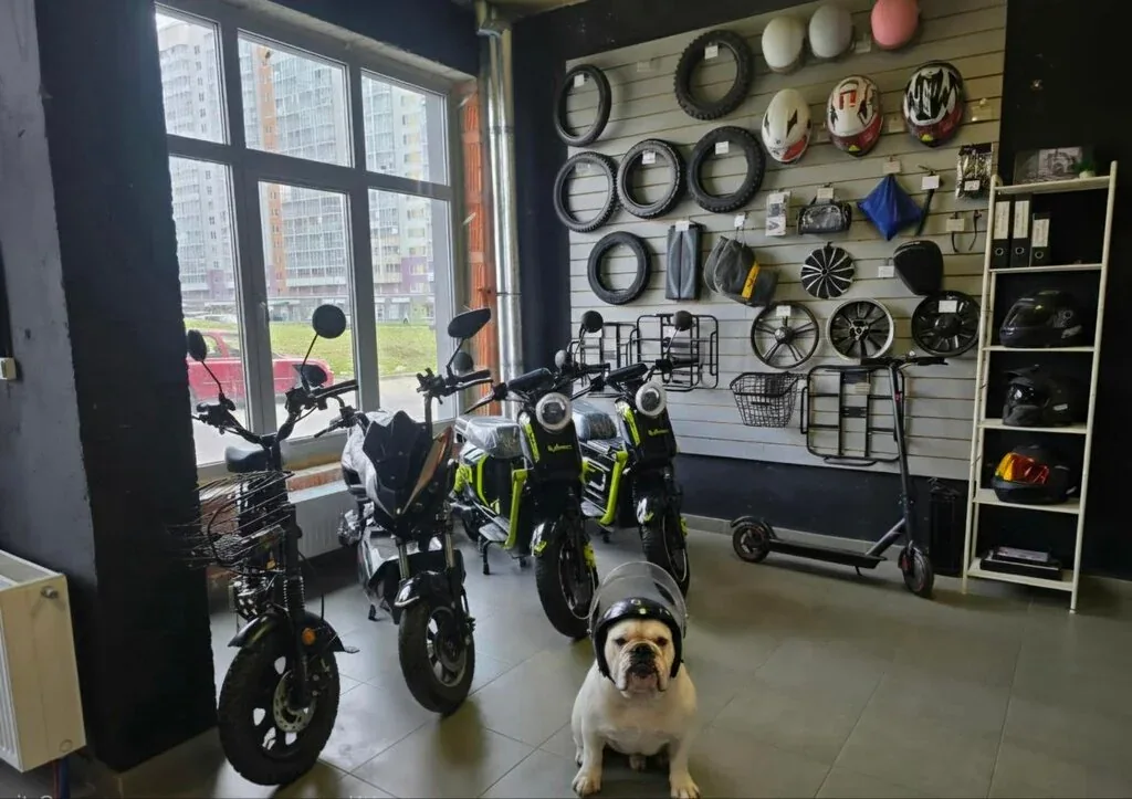 Веломастерская PowerBike
