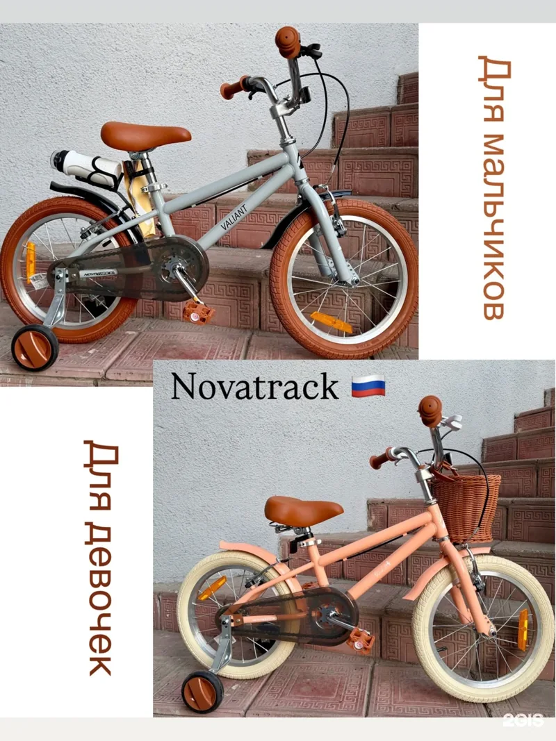 Фото Веломир