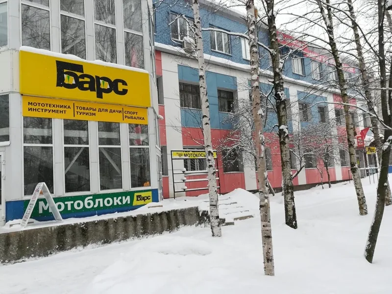 Фото Барс
