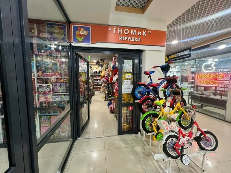 Фото Гномик