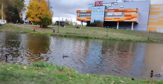 Веломастерская Спортмастер