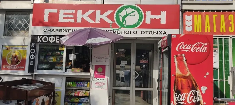 Фото Геккон