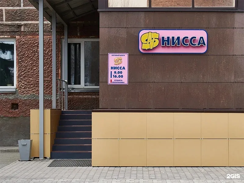 Фото Нисса
