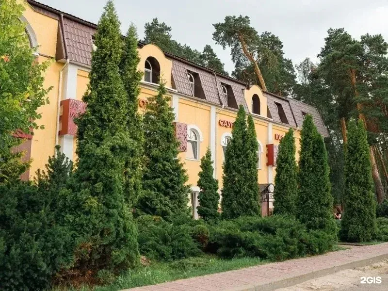 Фото Паустовский
