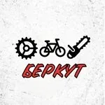 Логотип Беркут