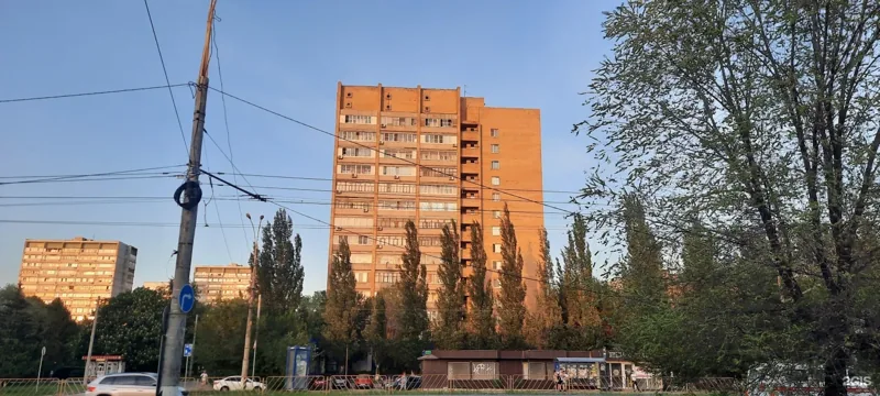 Фото Белый кот