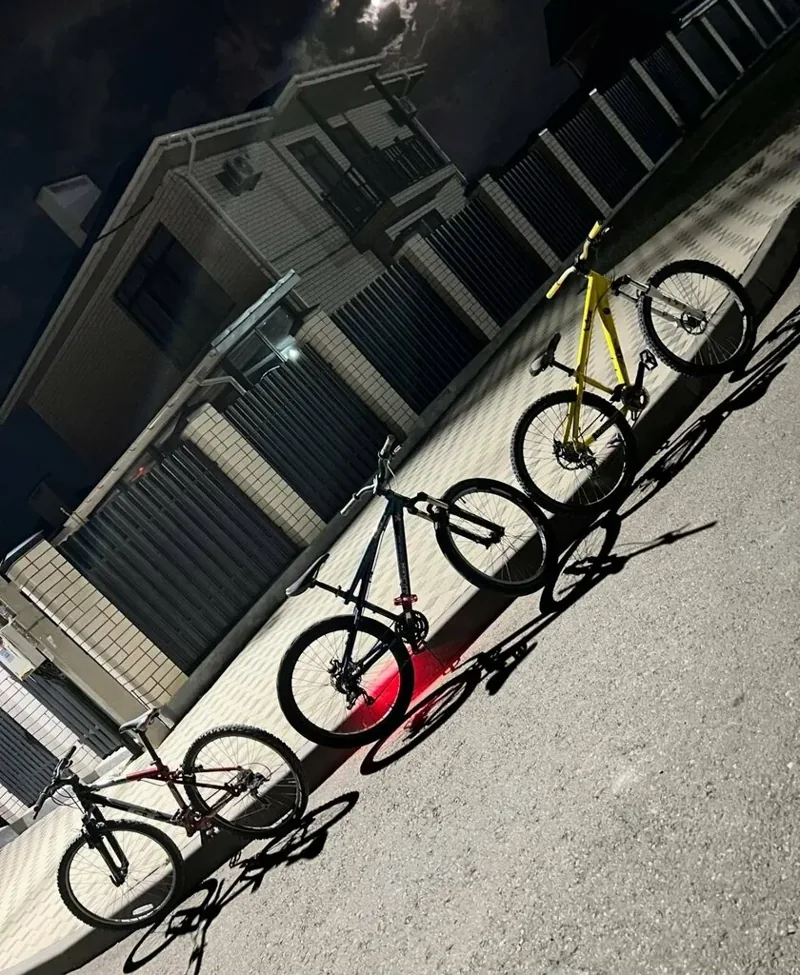 Фото Treezy Bike