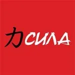 Логотип Сила