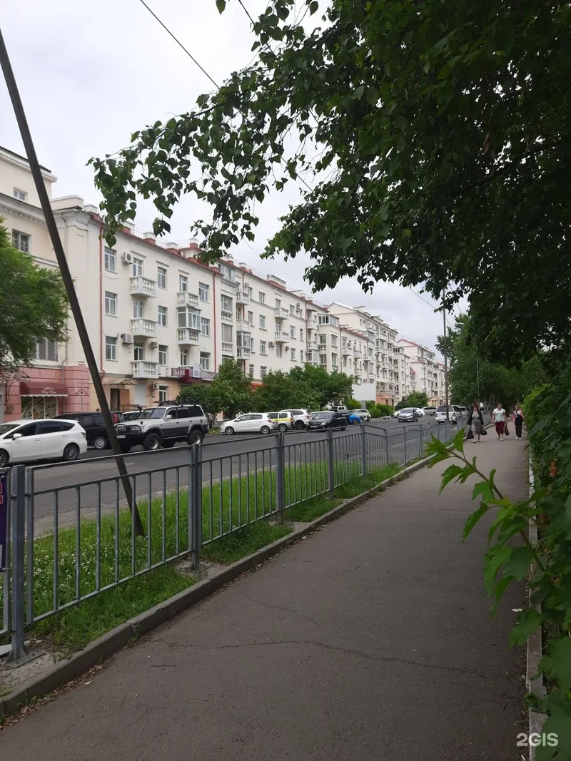 Фото Зеленый крокодил