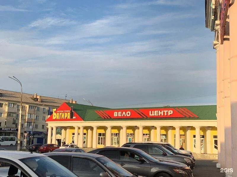 Фото Багира