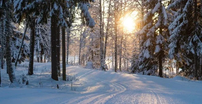 Фото Динамо