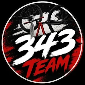 Логотип 343 Team