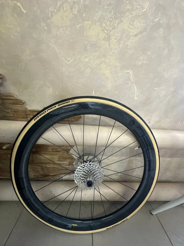 Фото из индивидуальной карточки: Evo Bike