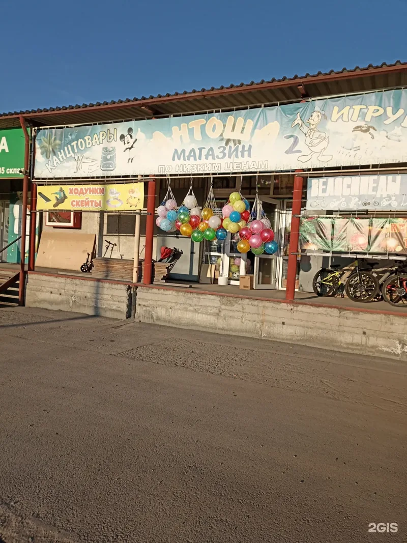 Фото Антоша