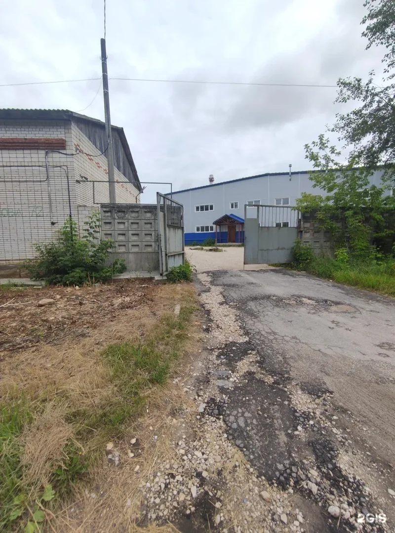 Фото Мой прокат