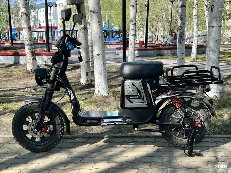 Фото СГМ