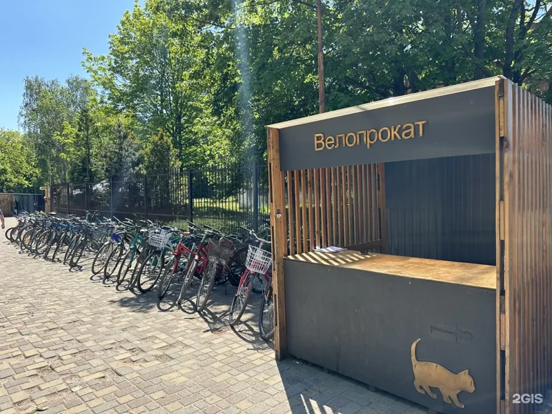 Фото ВелоЧайка