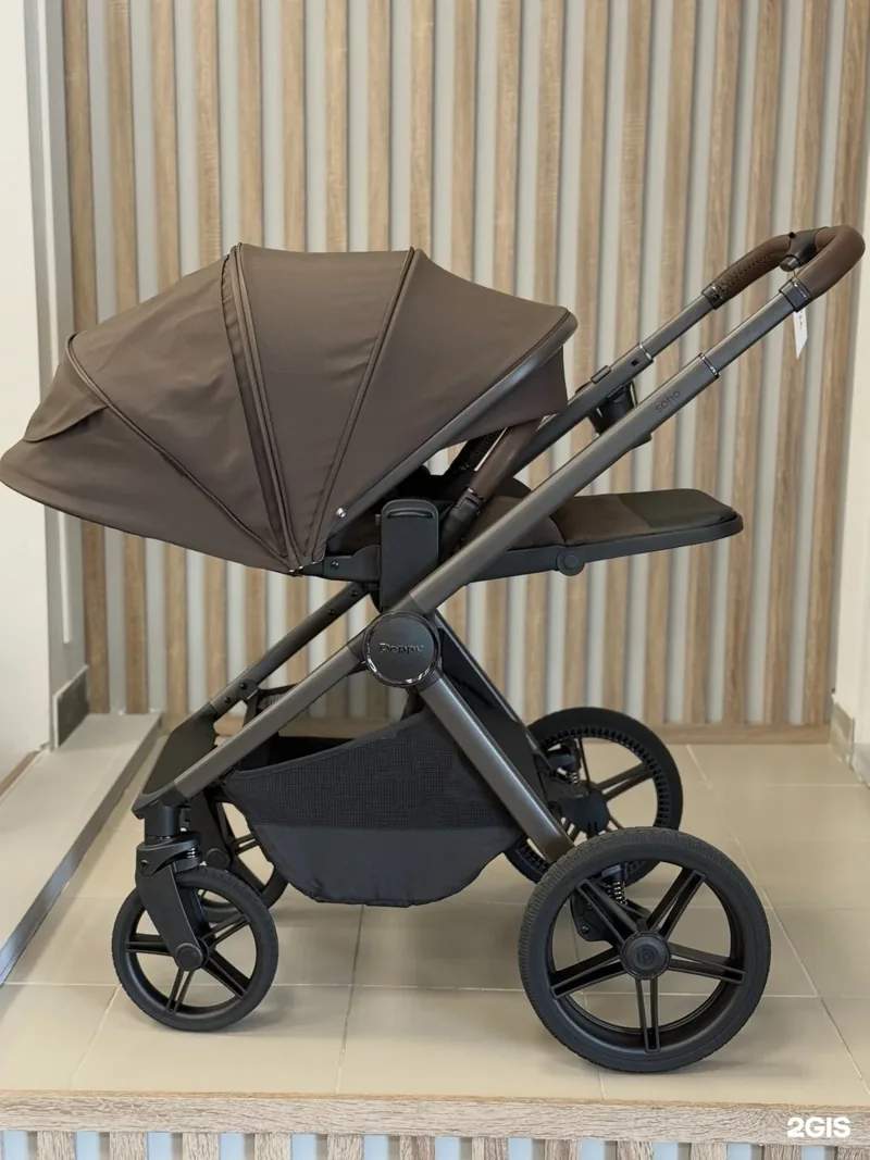 Фото Buggy go