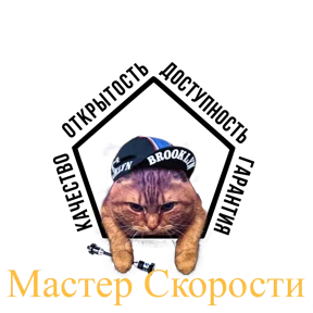Логотип Мастер скорости