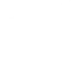 Логотип Веломедик