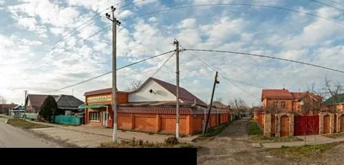 Фото Муравей