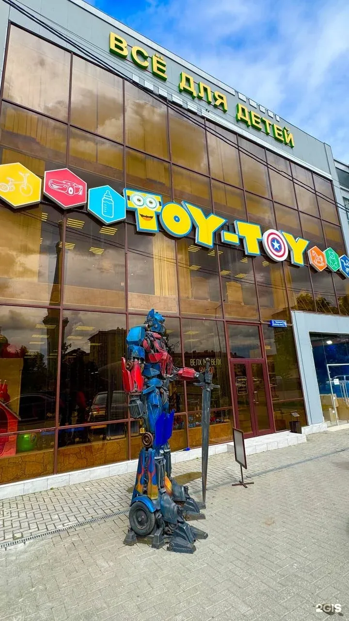 Фото Toy-Toy