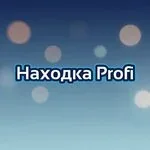 Логотип Находка Profi