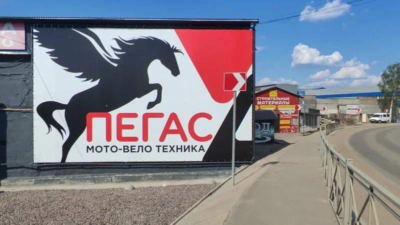 Фото Пегас