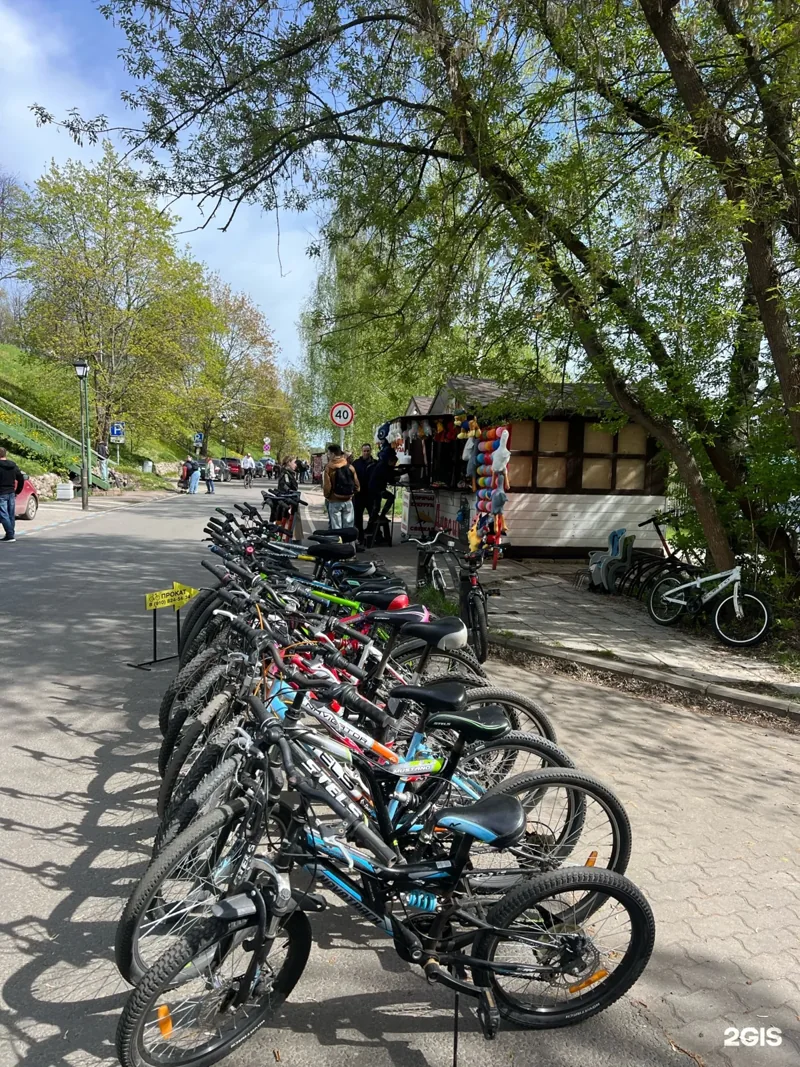 Фото Служба велопроката