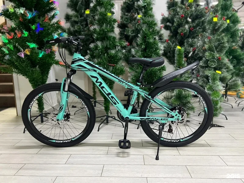 Фото Bibibike