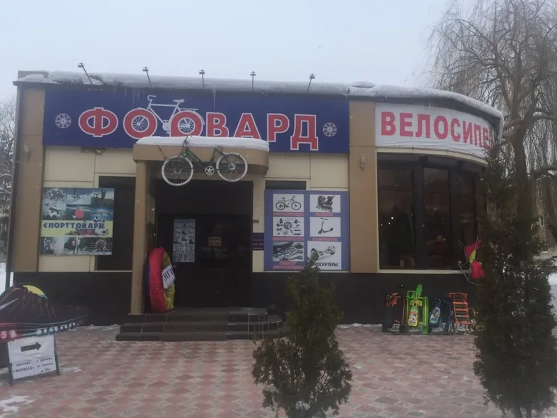 Фото из индивидуальной карточки: Форвард