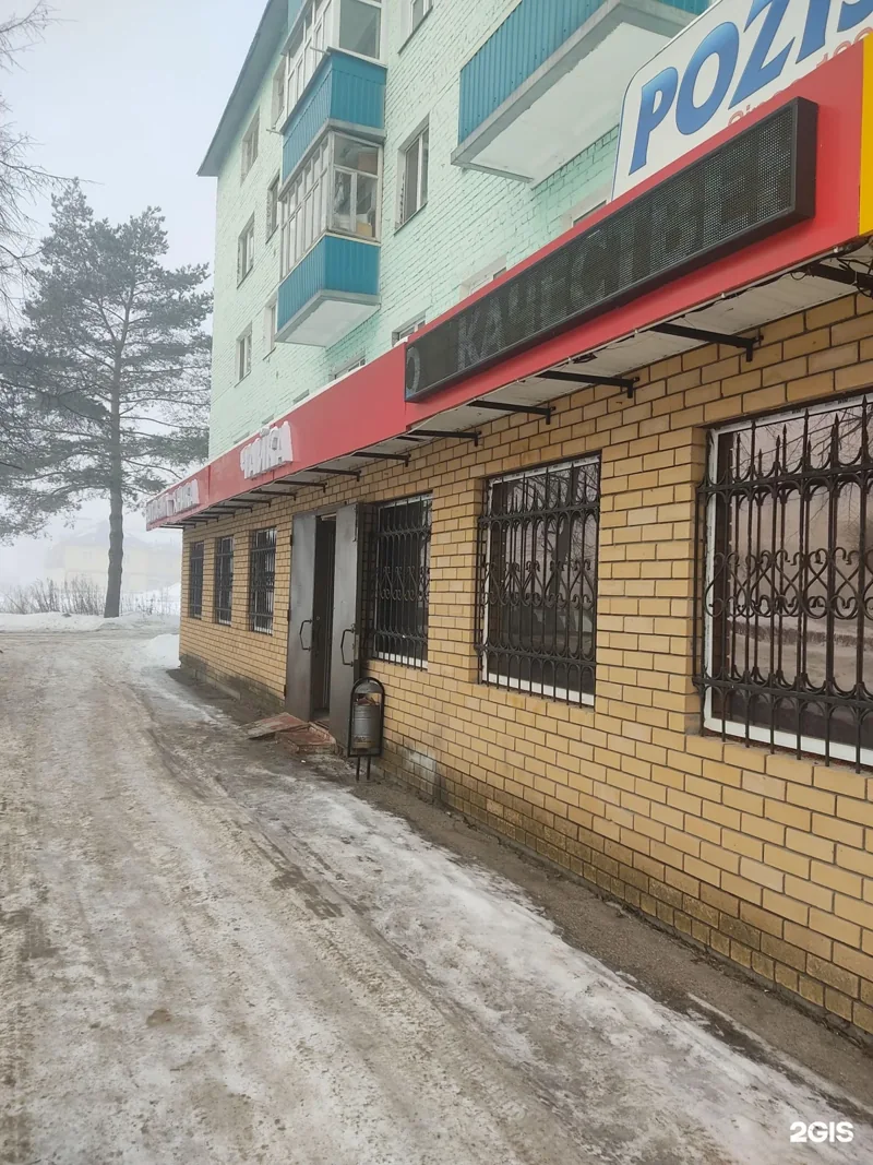 Фото Чайка
