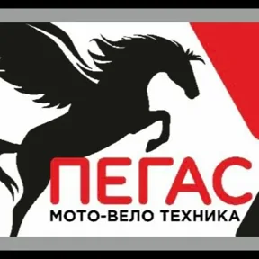Логотип Пегас