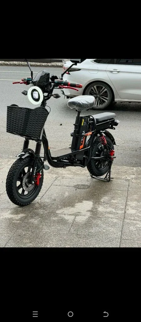 Фото из индивидуальной карточки: Ride Electric Bike
