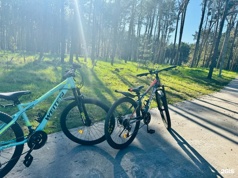 Фото Bibibike